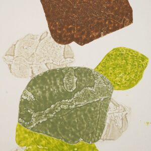 877-23</br><strong>Passuwa (Clamshell) V3 OF 3</strong></br>Louisa  Savage