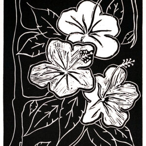 332-20-4/5</br><strong>Hibiscus   </strong></br>Gertie  Tomsana