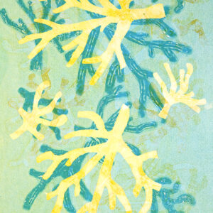 205-23</br><strong>Coral Bleaching II</strong></br>Loretta Glanville