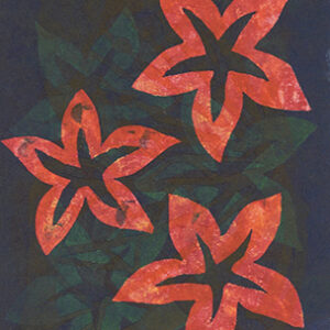 344-24</br><strong>Palawa</strong></br>Gertie  Tomsana